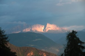 376.jpg