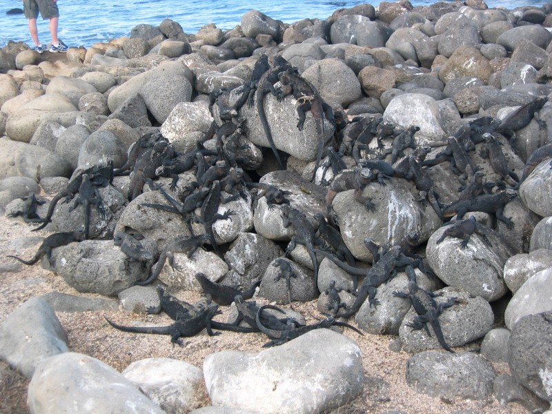 135.jpg