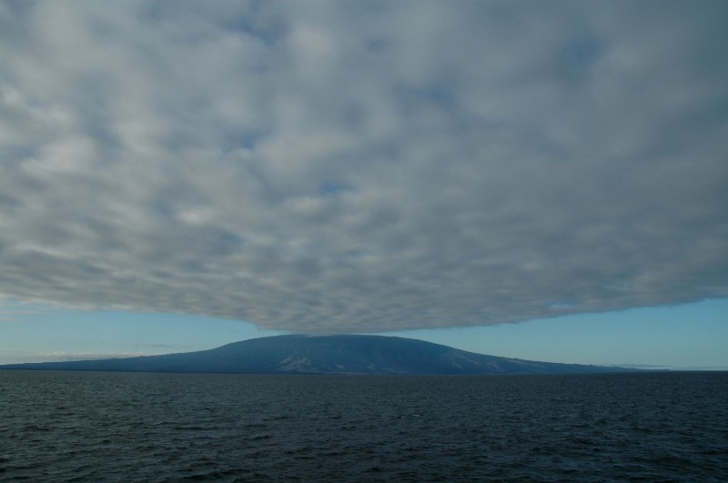 171.jpg