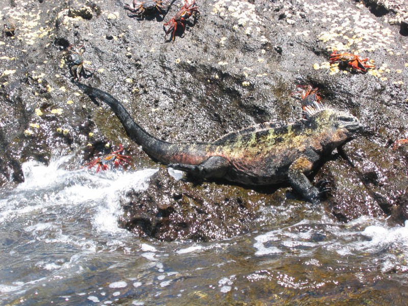 191.jpg