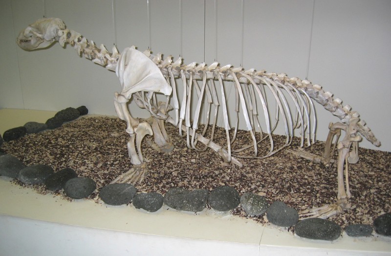 291.jpg