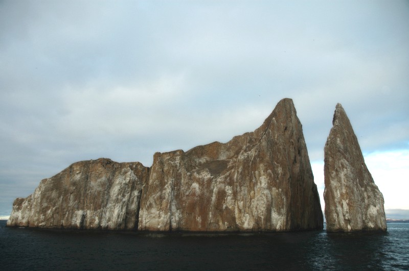 96.jpg