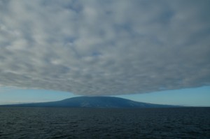 171.jpg
