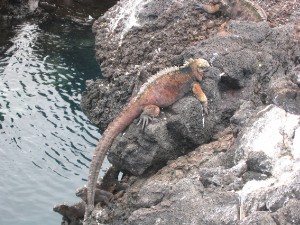 234.jpg