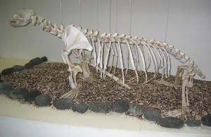 291.jpg