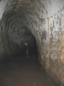 307.jpg