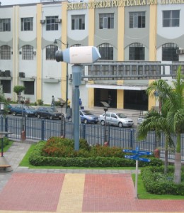 317.jpg