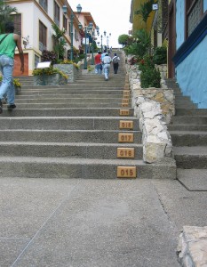 322.jpg
