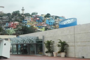 330.jpg