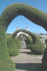 368.jpg