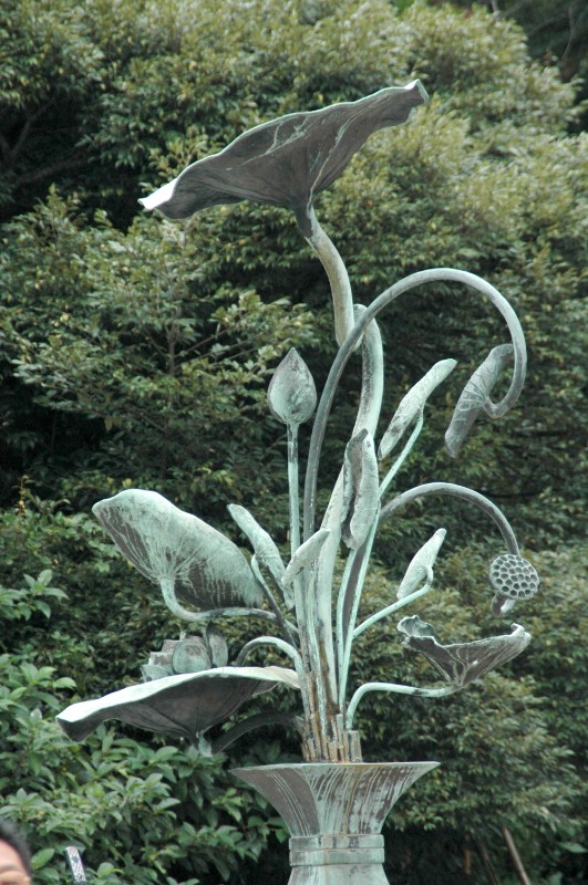 114.jpg