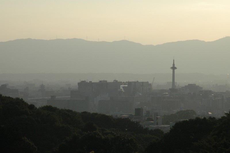 266.jpg
