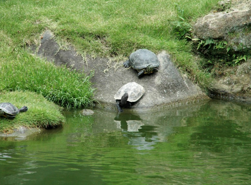94.jpg