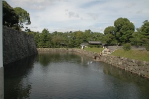 295.jpg