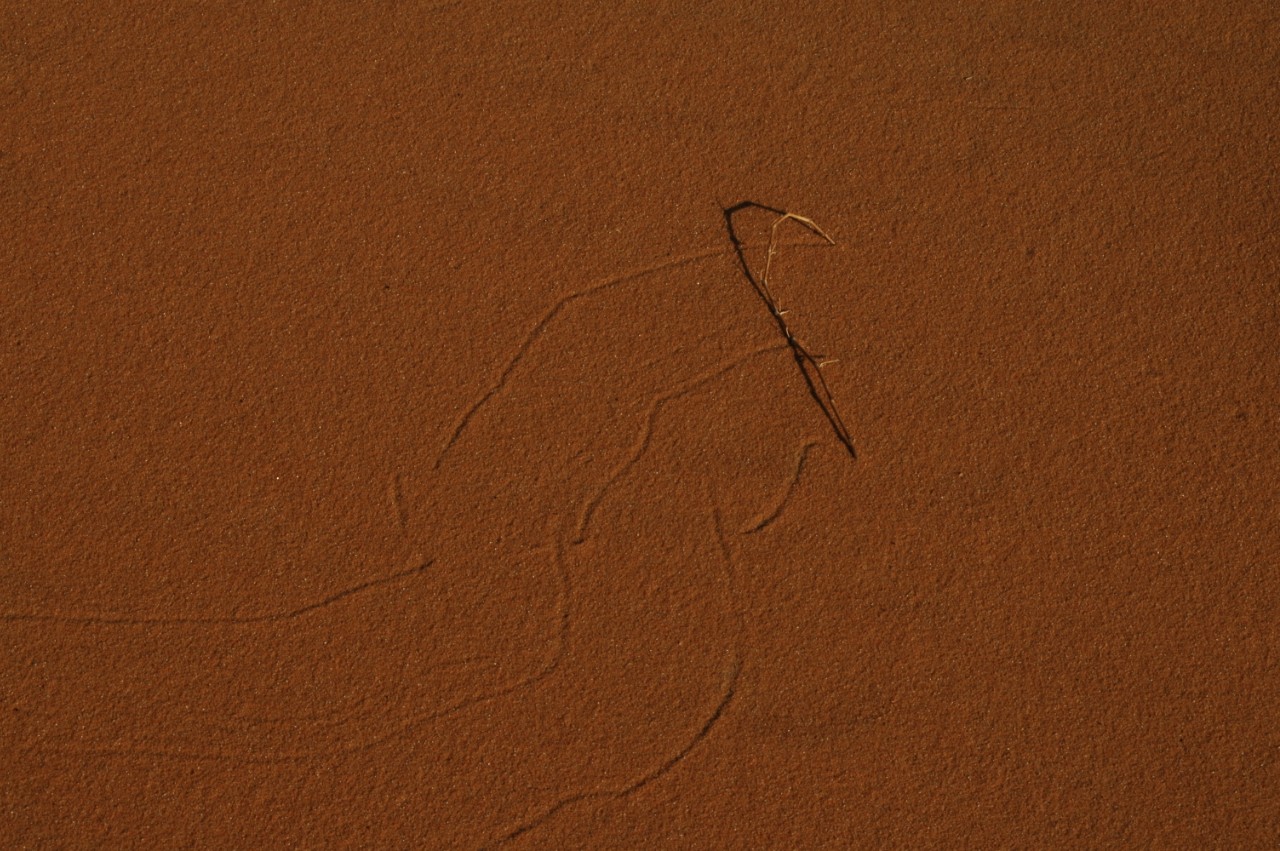457.jpg