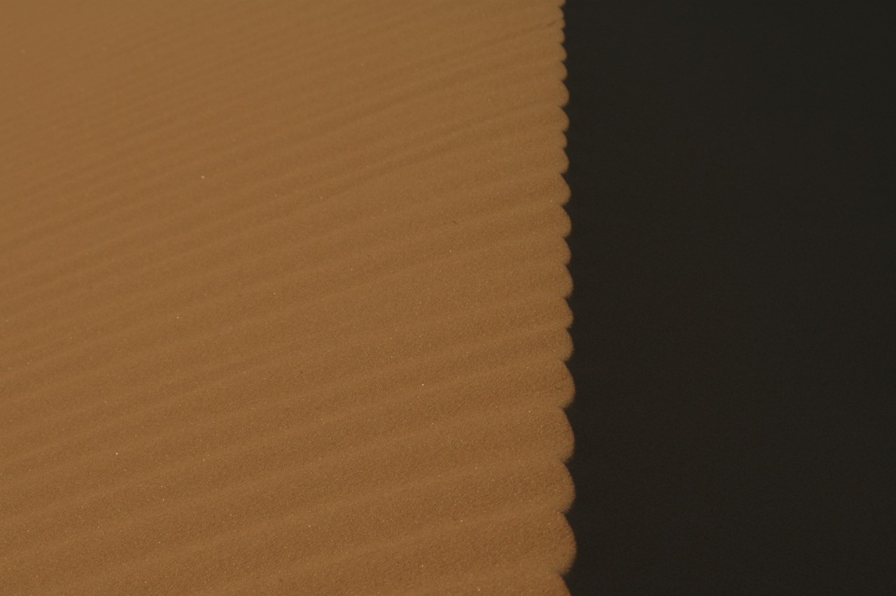 459.jpg