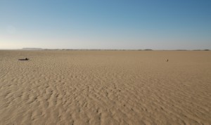 385.jpg