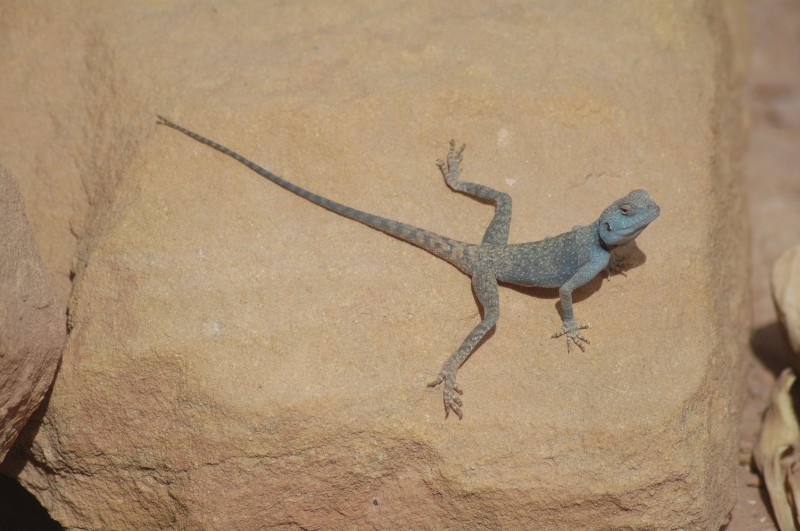 116.jpg