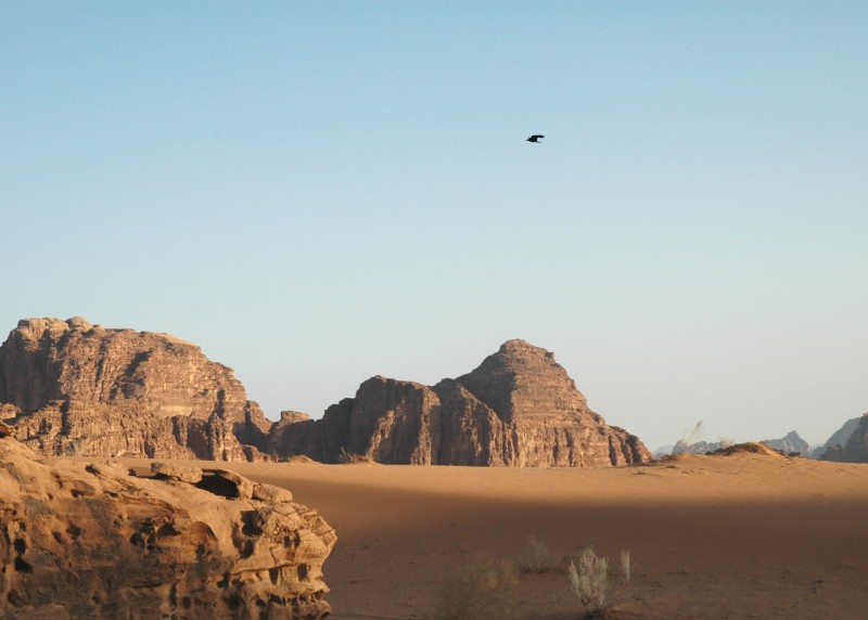 155.jpg