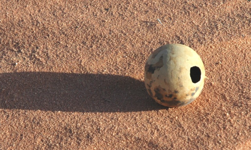 157.jpg