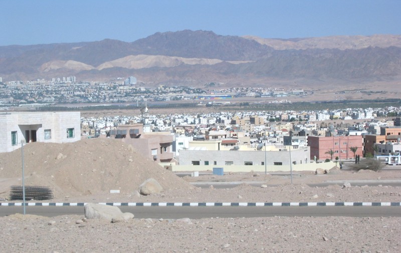 164.jpg