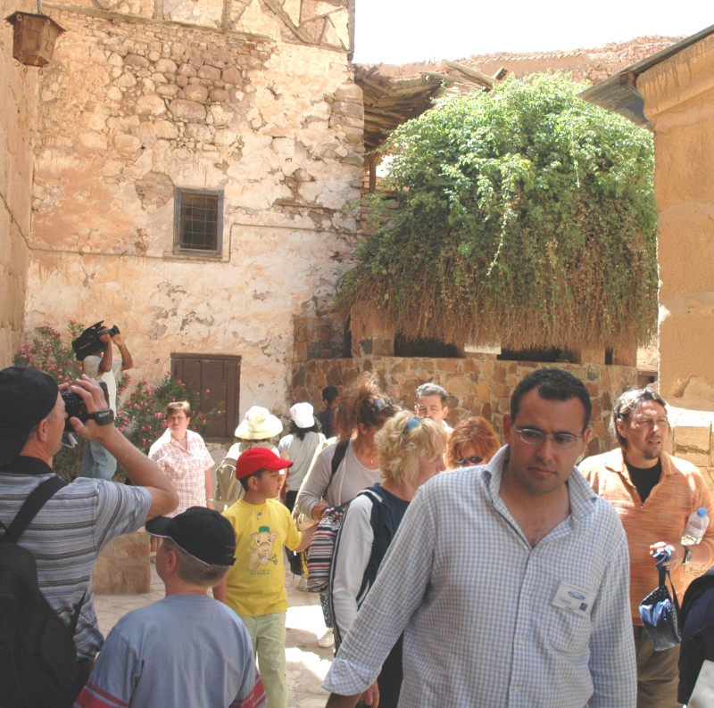 169.jpg