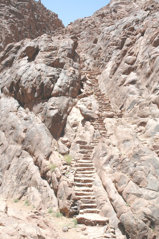 170.jpg