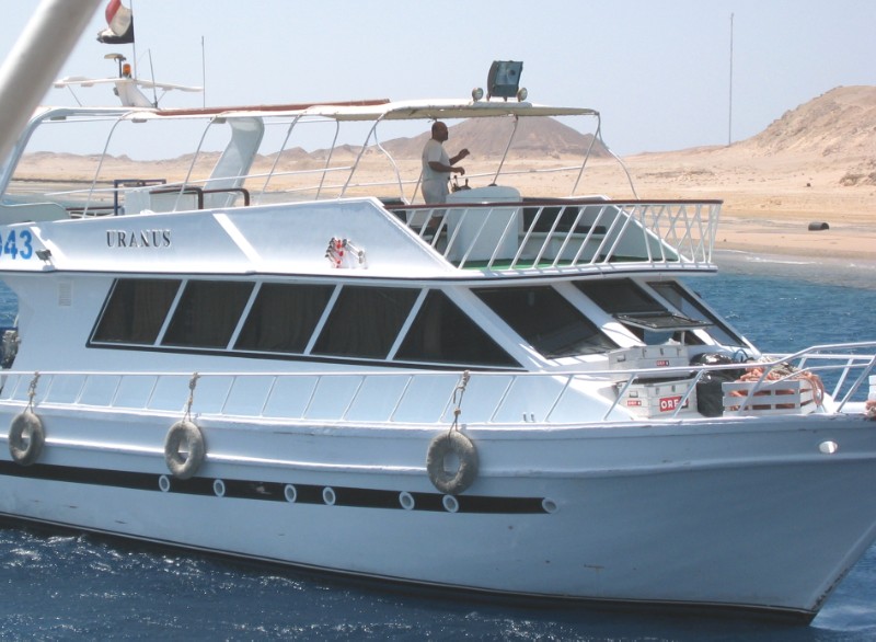 184.jpg