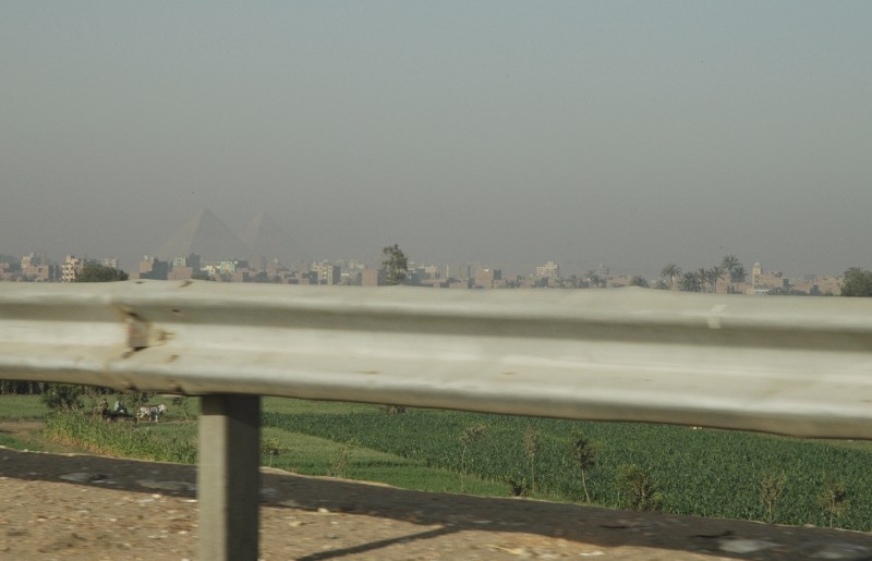 261.jpg