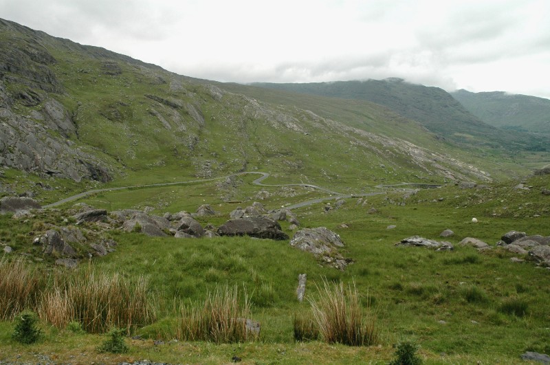 315.jpg