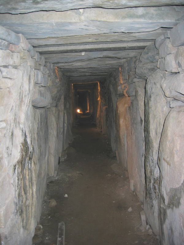 329.jpg