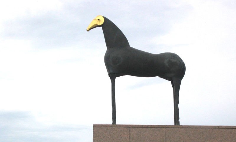 493.jpg