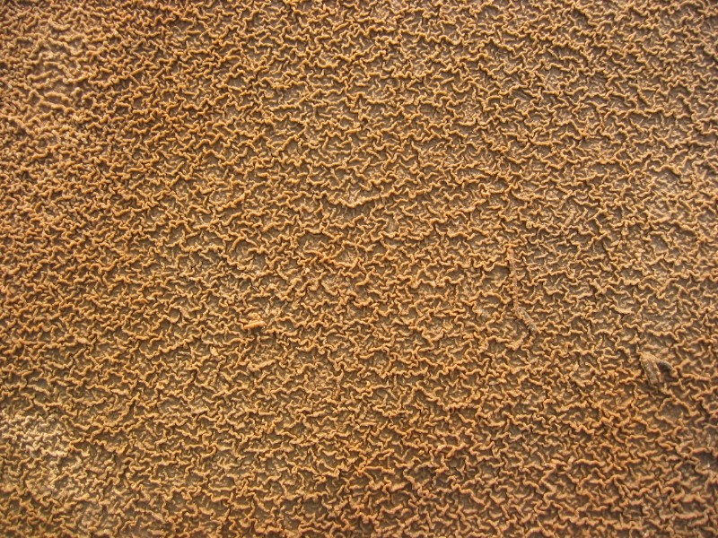 516.jpg