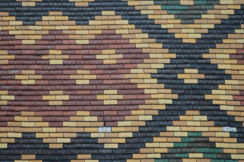 534.jpg