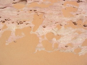 134.jpg