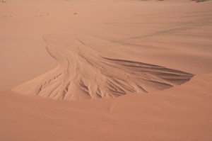 141.jpg
