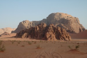 146.jpg