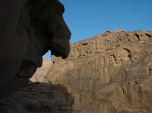 154.jpg
