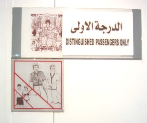 166.jpg