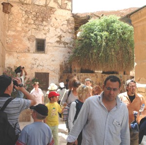169.jpg