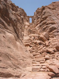 173.jpg