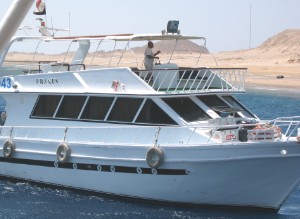 184.jpg