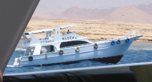 185.jpg