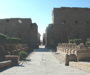 205.jpg