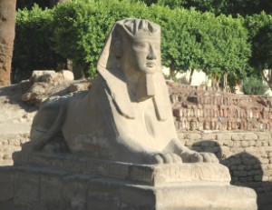 222.jpg