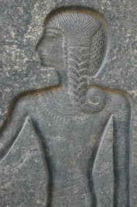226.jpg