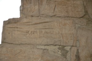 229.jpg