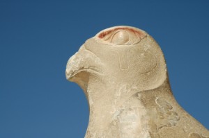 244.jpg