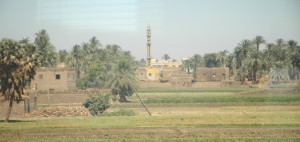 251.jpg