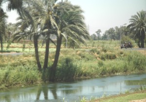 255.jpg
